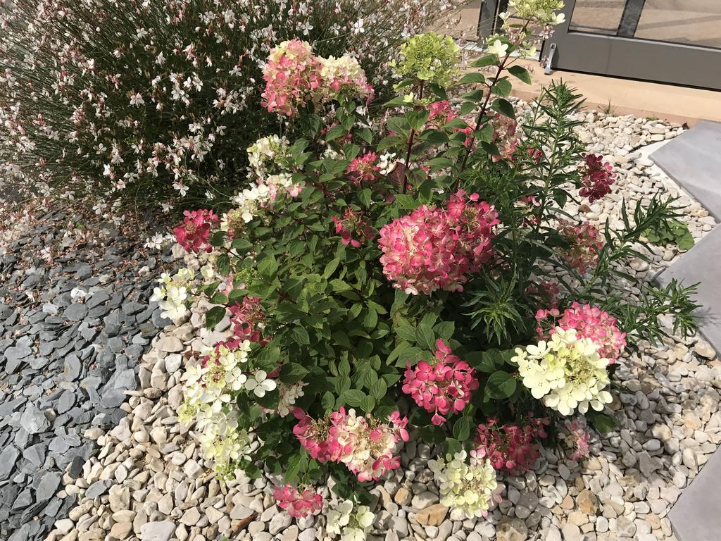 Kyriad دول دي بْروتانْيِ المظهر الخارجي الصورة